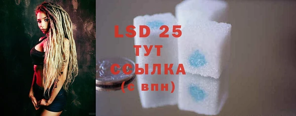 ECSTASY Алзамай
