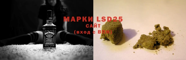 ECSTASY Алзамай