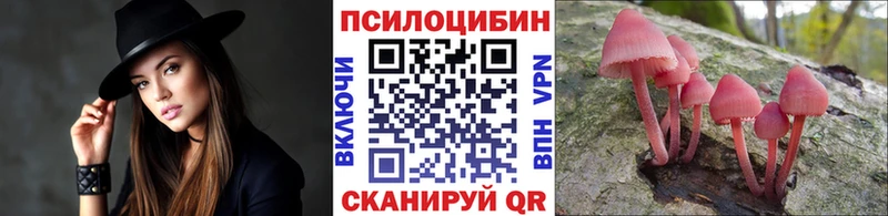 Псилоцибиновые грибы Cubensis  цены наркотик  Касли 